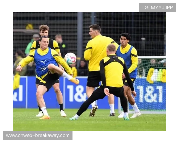 德甲俱乐部开放训练日，数千球迷现场观摩职业队备战